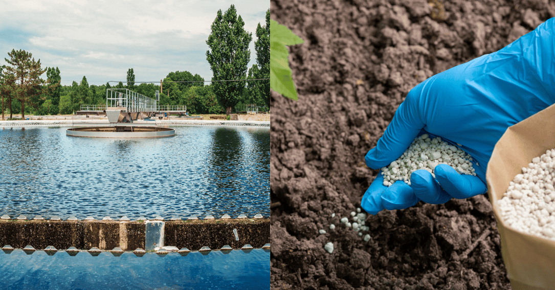 Phosphorus Recovery in Wastewater Treatment