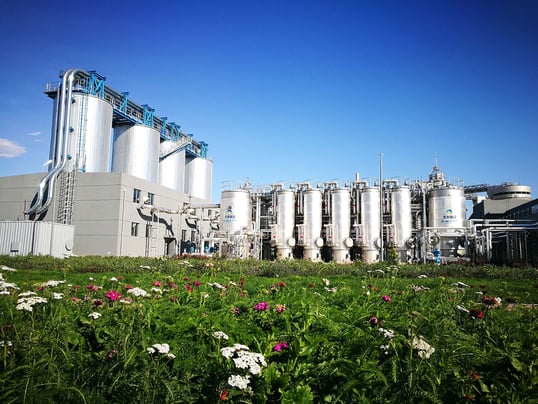 xiaohongmen-plant-view