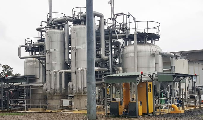 brisbane oxley creek australia plant view