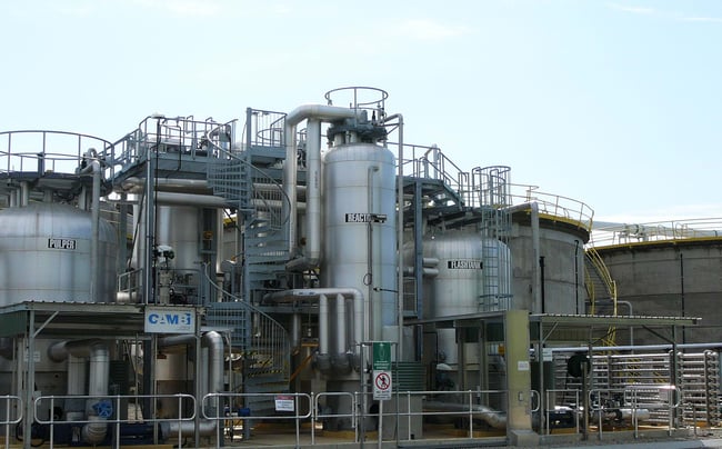 brisbane oxley creek australia plant view