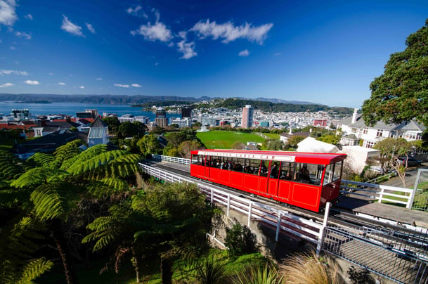 Wellington city view