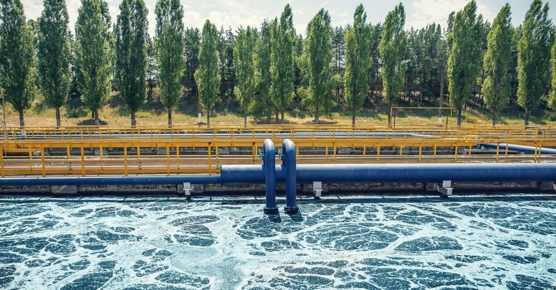 Waste Activated Sludge Explained: Characteristics and Treatment