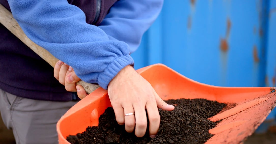 What Are Biosolids? A Complete Guide to Treated Sewage Sludge