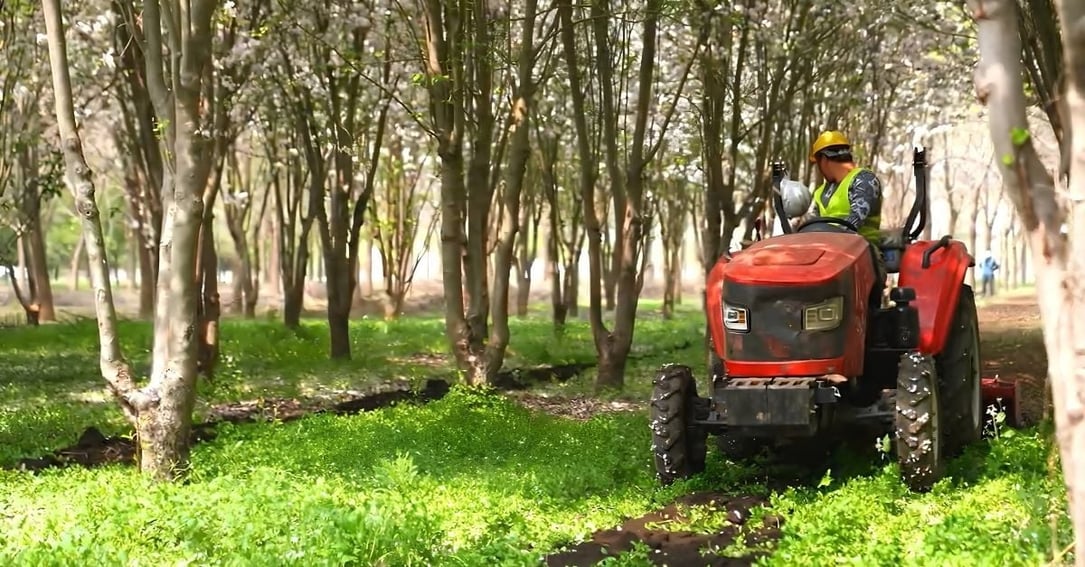Biosolids Land Application: Benefits, Risks, Rules and Outlook