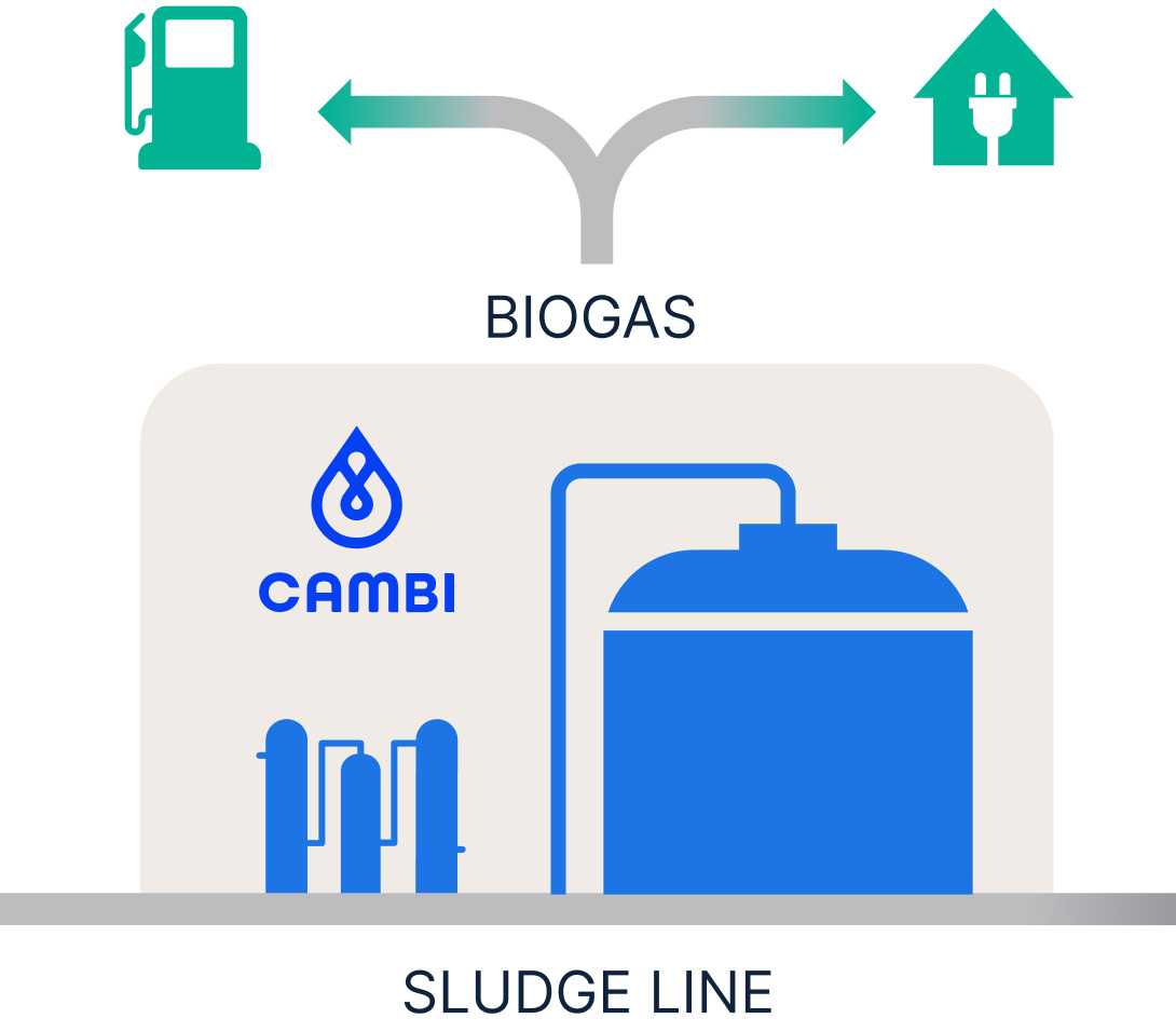 thermal hydrolysis process step 2