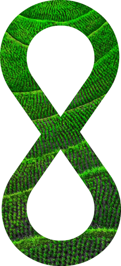 cambi-infinity-symbol