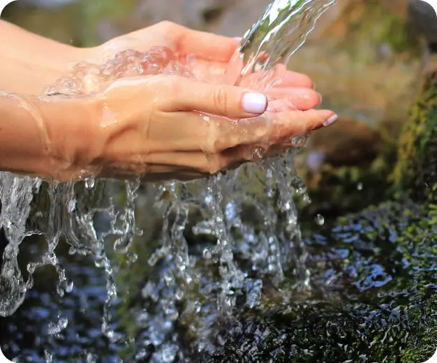 person holding water